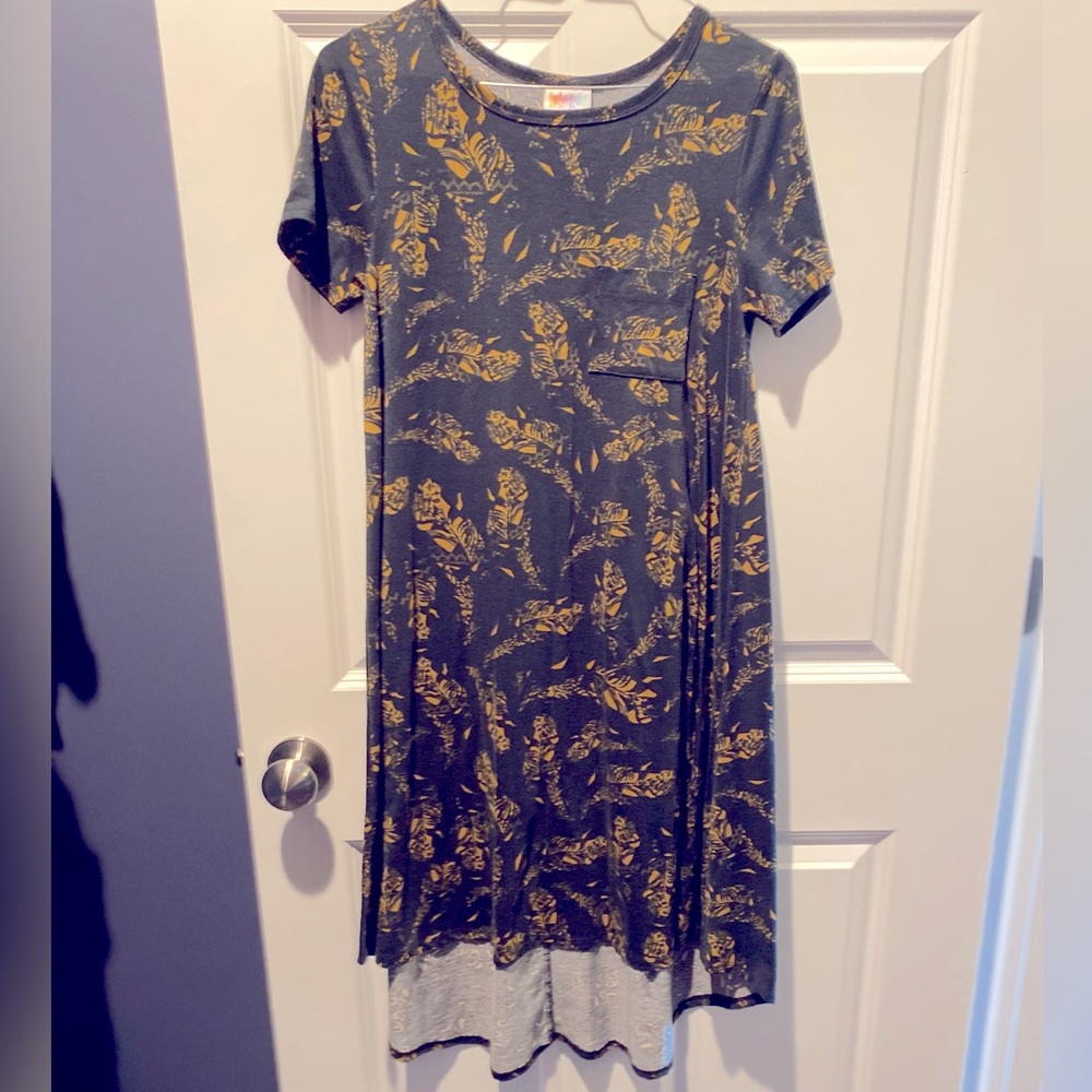 LuLaRoe Carly Dress- size XXS